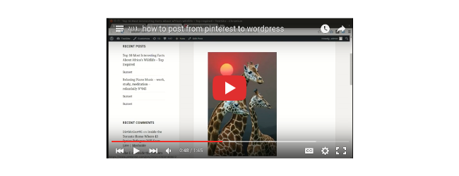 WordPress Automatic Plugin - AI content generator and auto poster plugin - 55