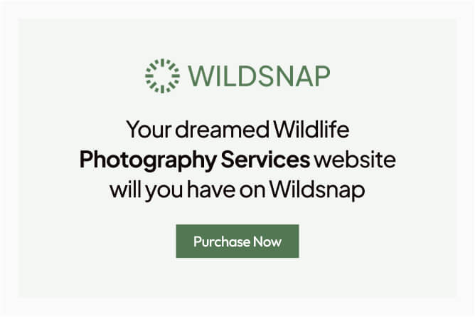 Wildsnap - Wildlife Photography Services Elementor Template Kit - 5