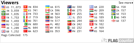 Flag Counter