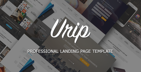 Urip Professional Landing Page