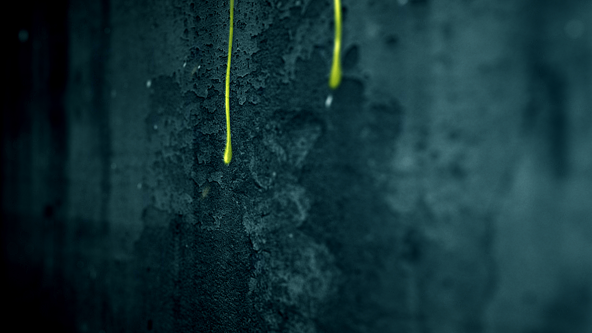 The Secret | Logo Reveal - 14