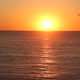 Seagulls During Sunset - VideoHive Item for Sale