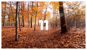 Brush Transitions - 11