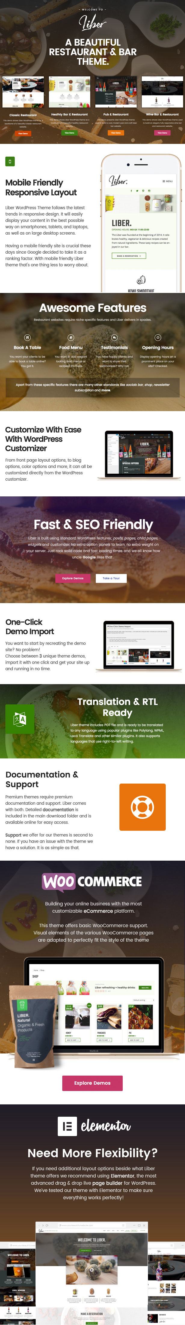 WordPress Theme