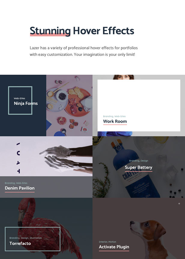 Lazer WordPress Theme