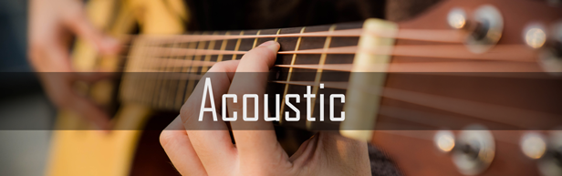 Acoustic Bestsellers