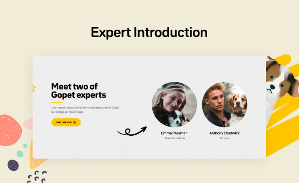 Expert introduction