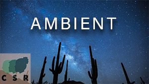 Ambient