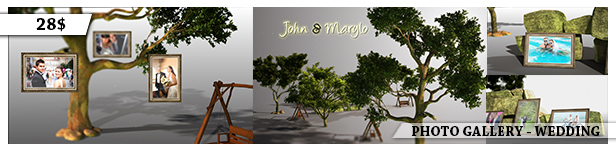 ae_photo gallery_wedding