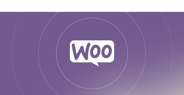 Chauffeur Taxi Booking System for WordPress - 25