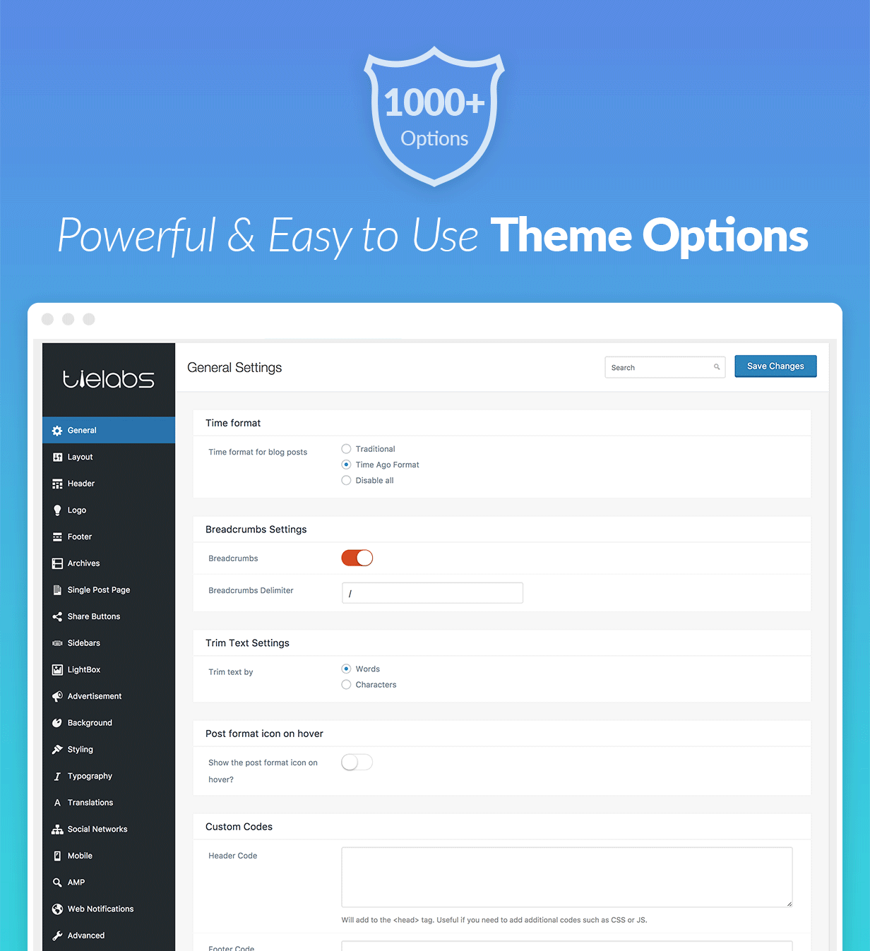 Powerful and Easy to Use Theme Options