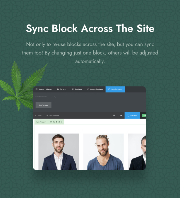 Cania - Cannabis & Marijuana Medical WordPress - 9