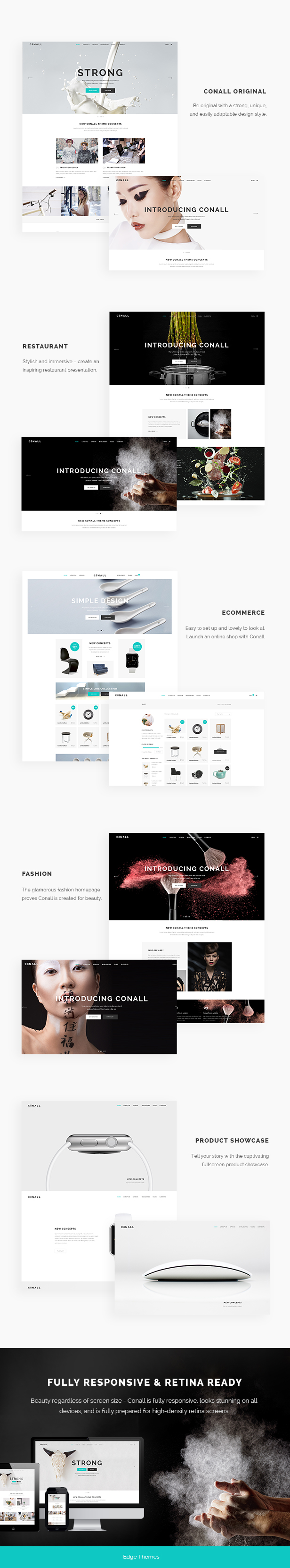 Conall - A Clean & Beautiful Multipurpose Theme - 2