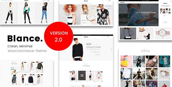 Clean, Minimal WooCommerce WordPress Theme