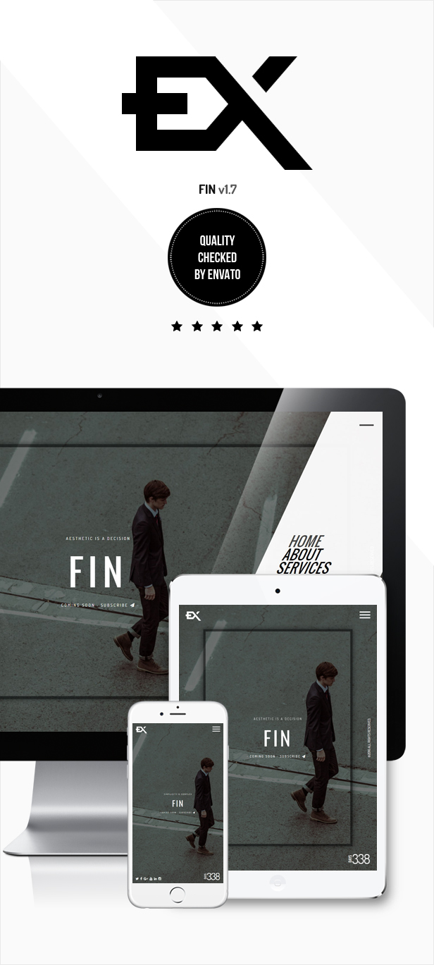 Fin