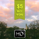 Time Lapse Clouds Over Treetops - VideoHive Item for Sale