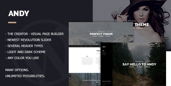 Andy - Multi/One-Page Minimal Parallax Theme