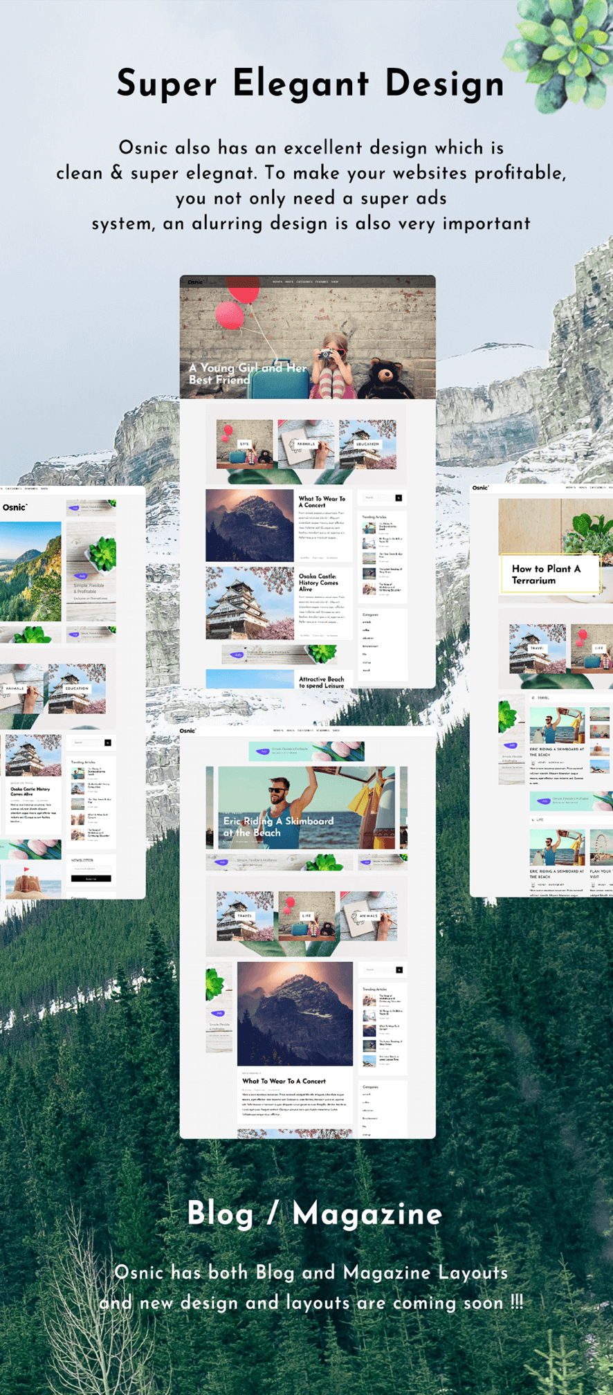 Woocommerce Themes