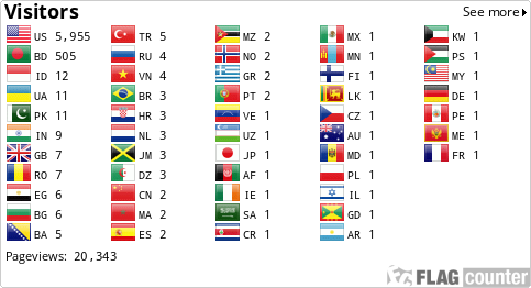 Flag Counter