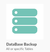 Super Backup & Clone - Migrate for WordPress - 15