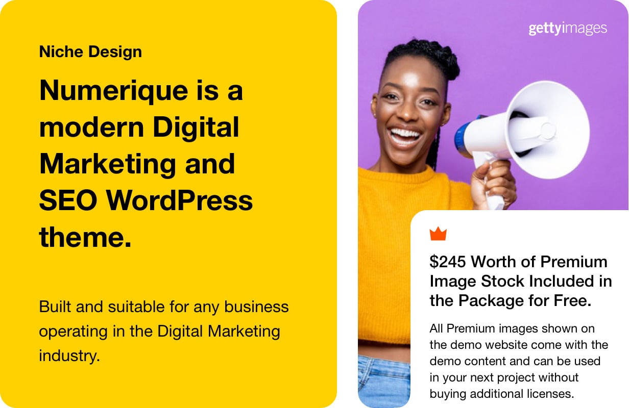 Numerique SEO Digital Marketing WordPress Theme WebDevBay