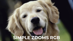 Modern Transitions | For Premiere PRO - 33