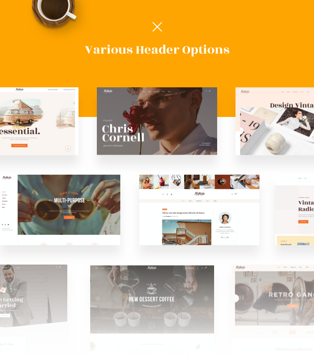 Vintage Retro Multipurpose Wp Theme - Header Options