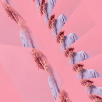 Kinetic Photos Pack - 33