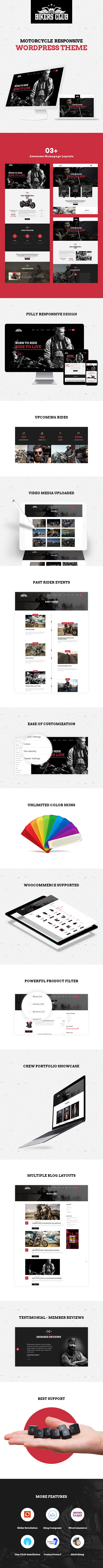 WordPress Theme