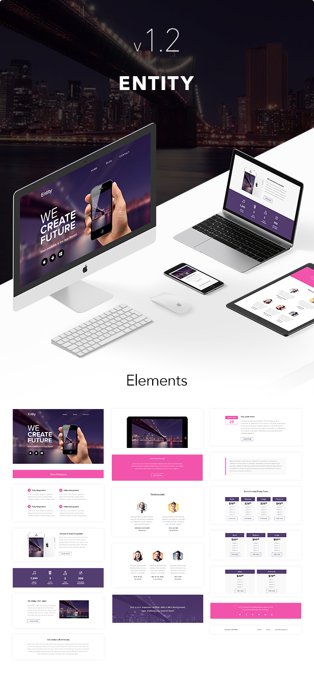 Entity - Responsive Email + Themebuilder Access - 1