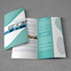 Bifold Brochure For Business - 2 Color Version