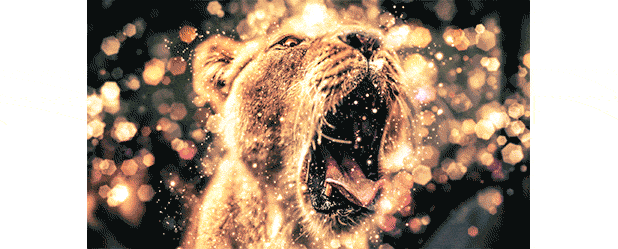 Shimmer Photoshop Action - 2