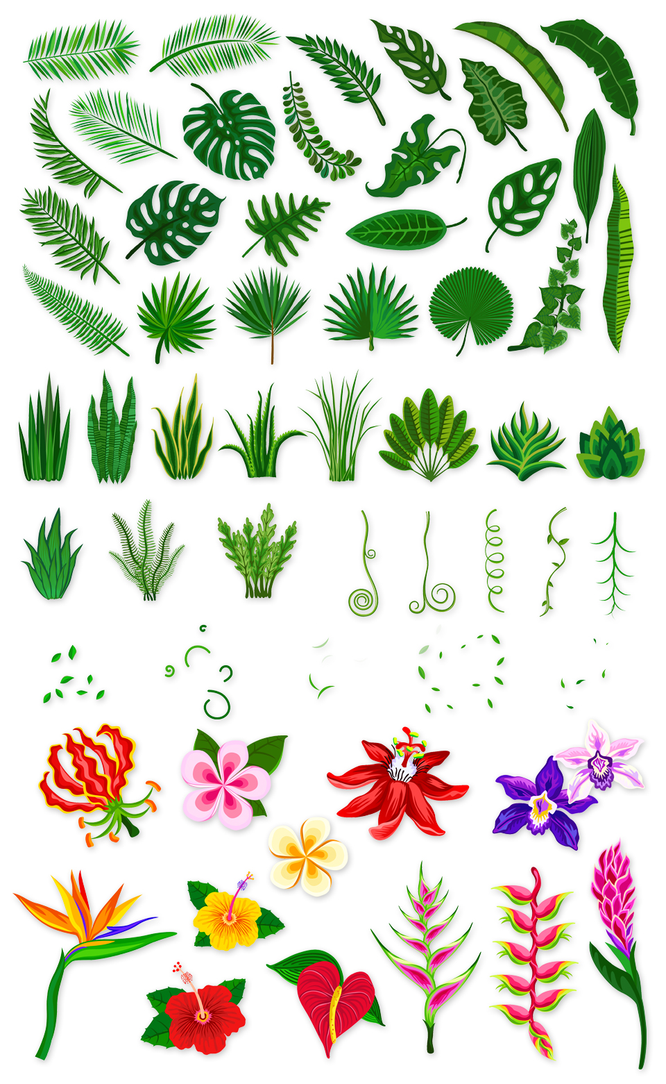 Floral Design Pack - 2