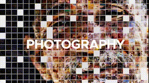 Mosaic Photo Reveal - 21