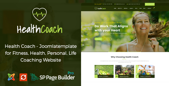 Jollyque Onepage Portfolio Html5 Website Template By Joomlabuff Themeforest