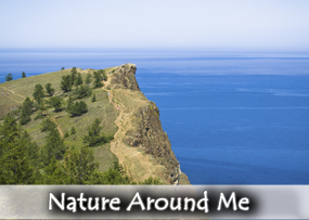 BANNERNATURE2