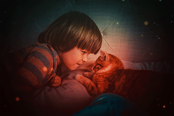 Gif Animated Twinkle 2 Photoshop Action - 11