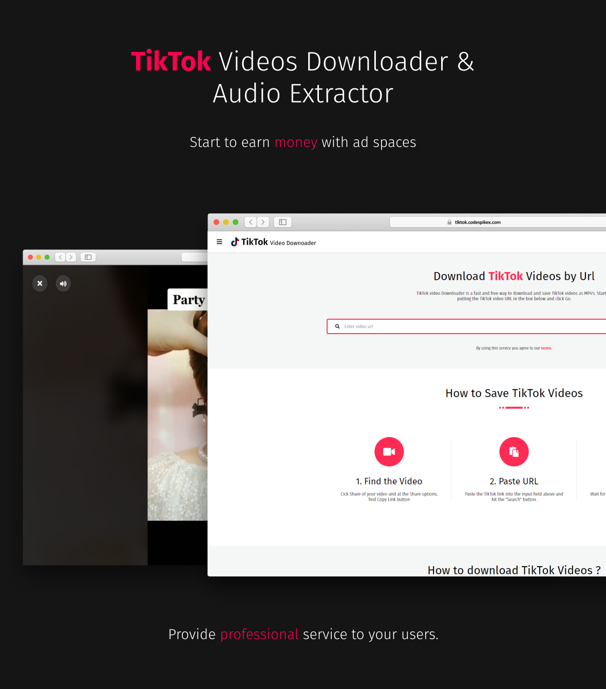 TikTok Video Downloader Without Watermark & Music Extractor - 2