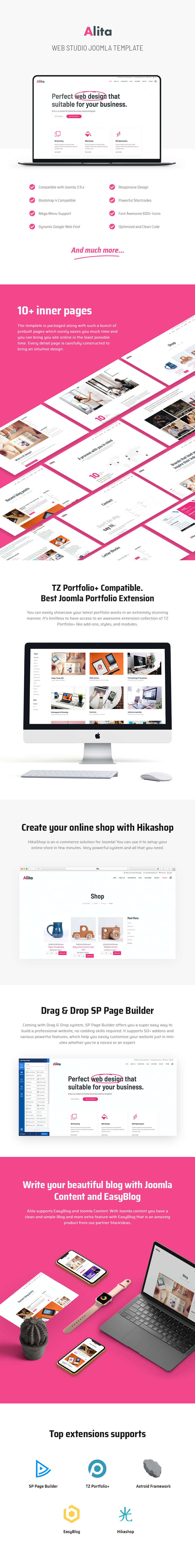 Alita - Web Studio Joomla Template