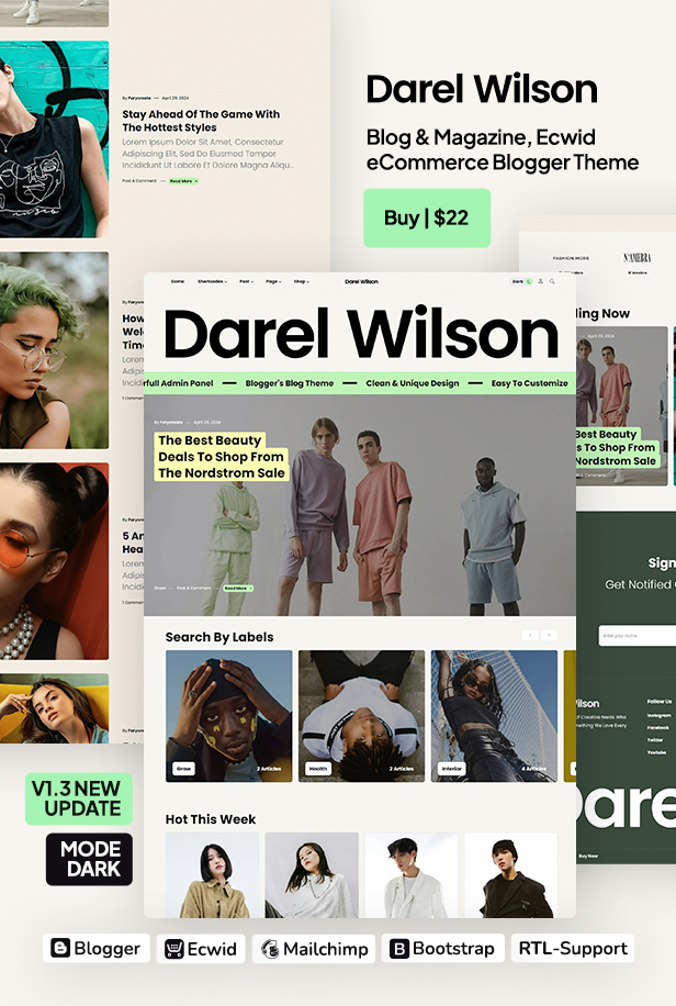 Darel Wilson - Blog and Magazine Blogger Theme - 1