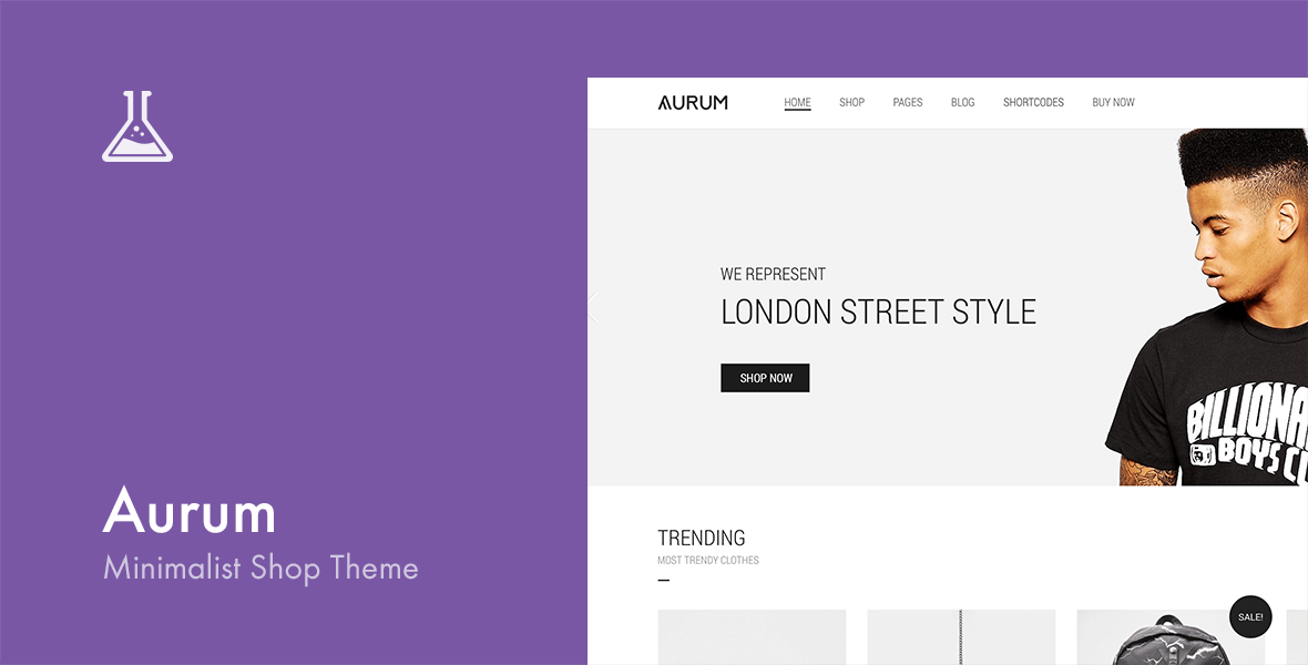 Aurum WordPress and WooCommerce Theme