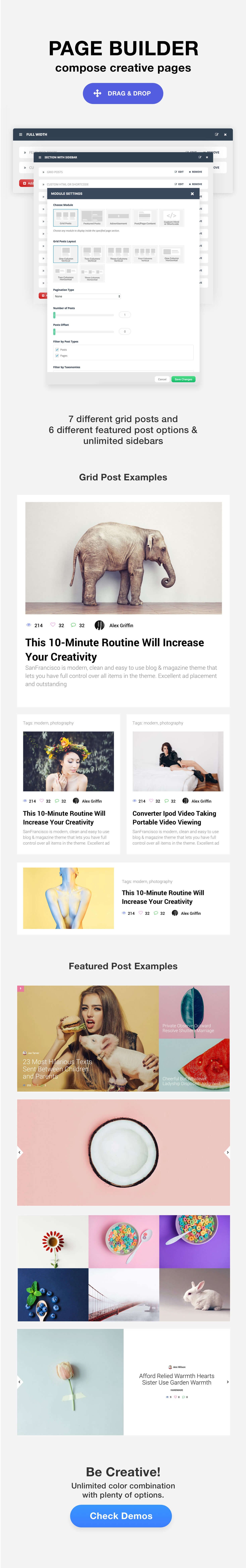 SanFrancisco - MultiConcept Blog & Magazine WordPress Theme - 6