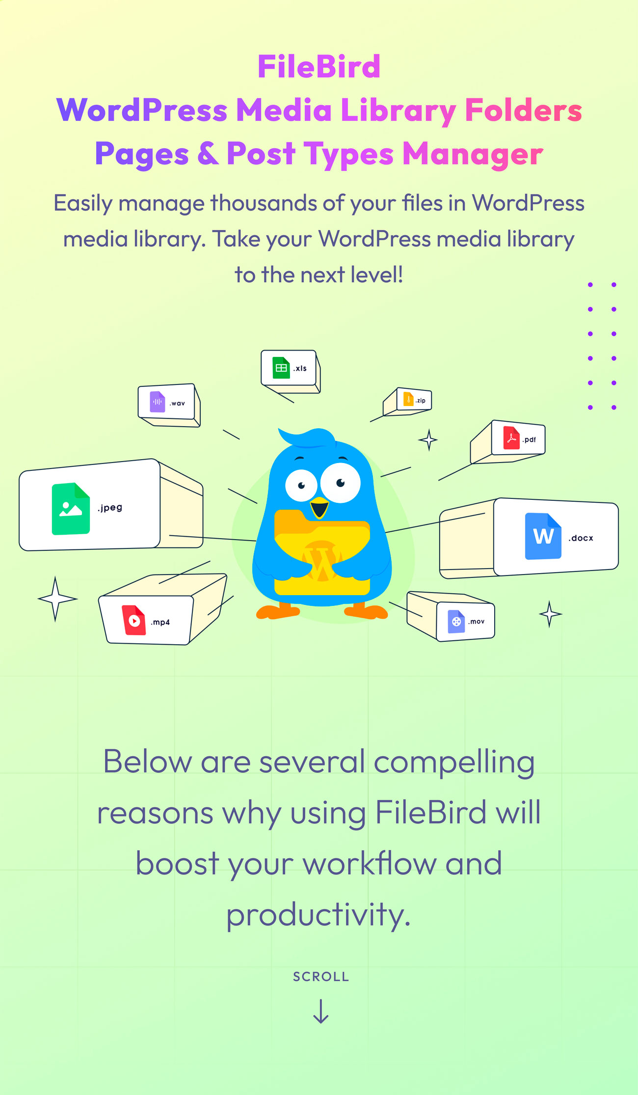 FileBird - WordPress Media Library Folders & File Manager