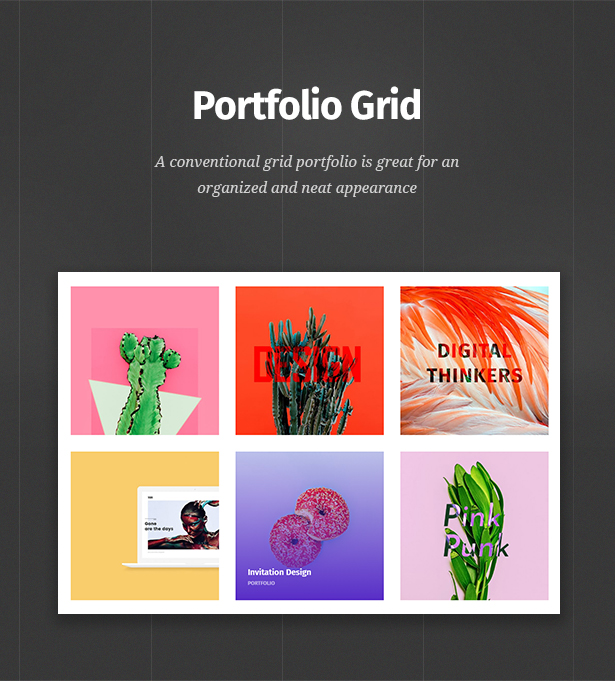 portfolio