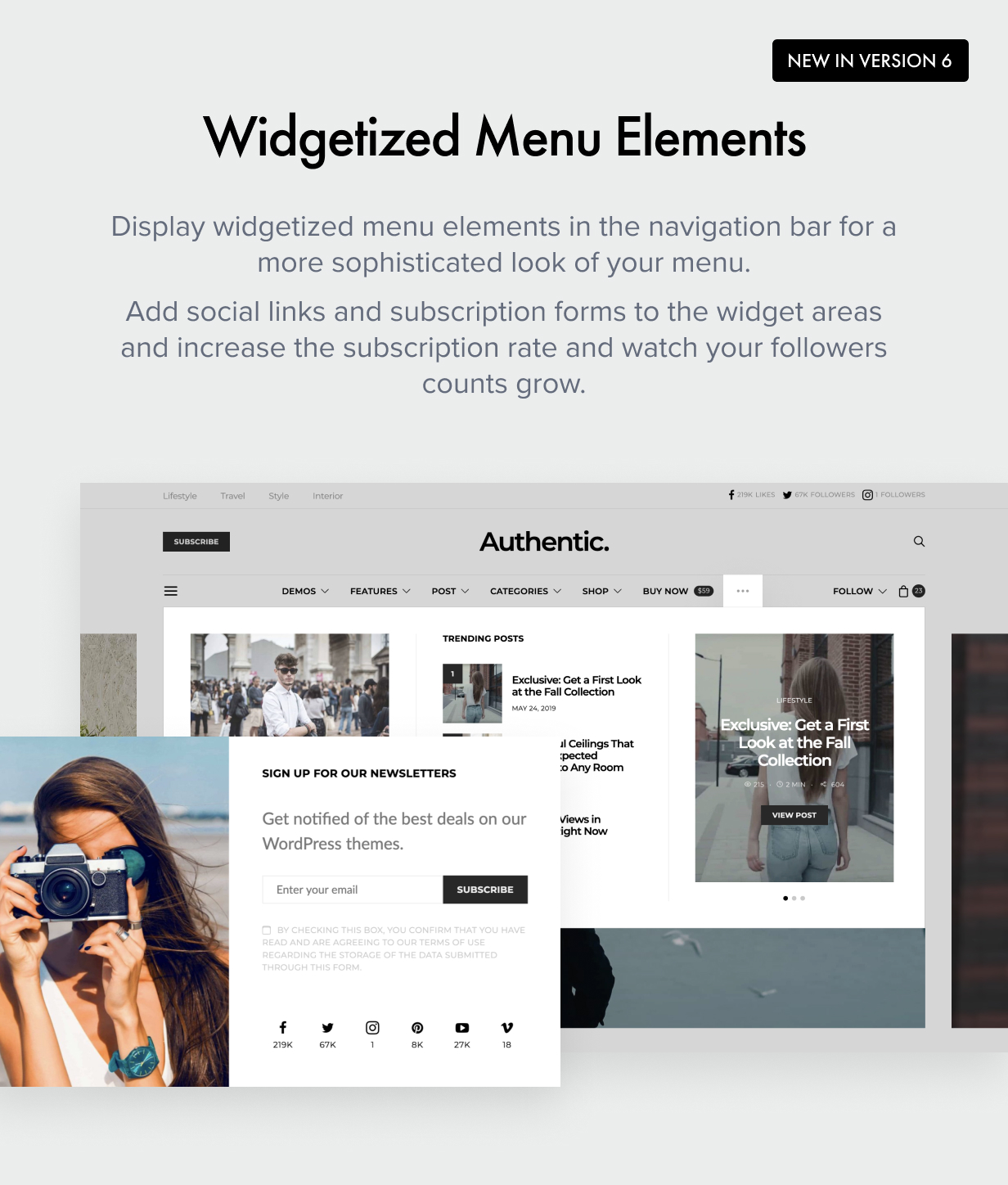 Widgetized Menu Elements