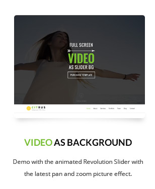 Citrus - One Page WordPress - 4