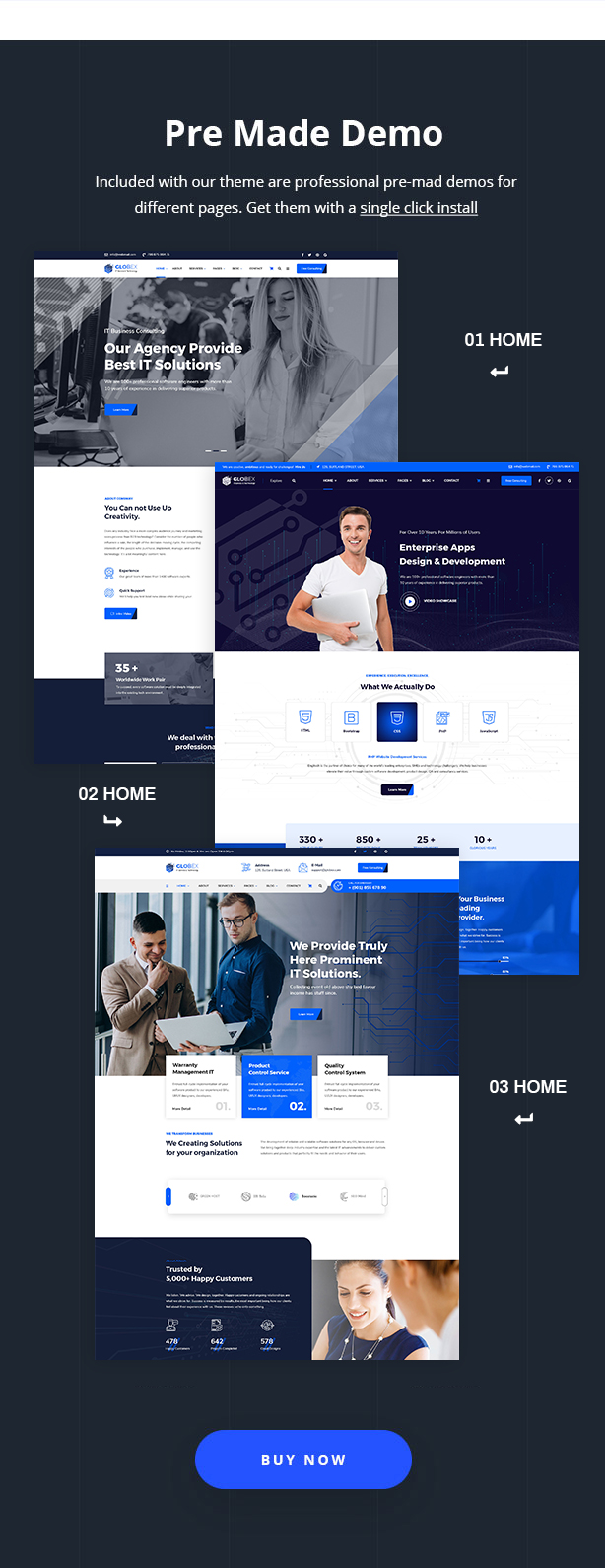 Globex - IT Solutions & Services WordPress Theme - 8