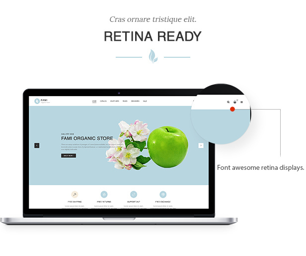 des_04_retina_ready