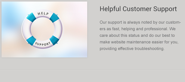 WP Theme Customer Support
