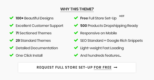 Top Features & Request full store setup for fee